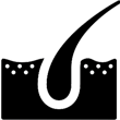 https://dsens.com.tr/wp-content/uploads/2023/02/sac-vitamini.png